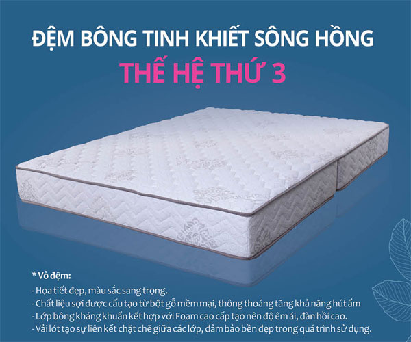 Bảng giá Đệm Sông Hồng mới nhất trong năm 2020
